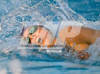 Thumbnail 3 in AIA D2 Swim Finals photogallery.