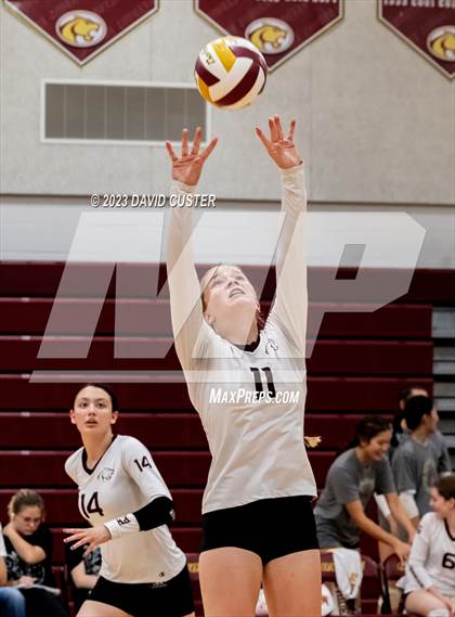 Thumbnail 3 in Westfield @ Oakton photogallery.