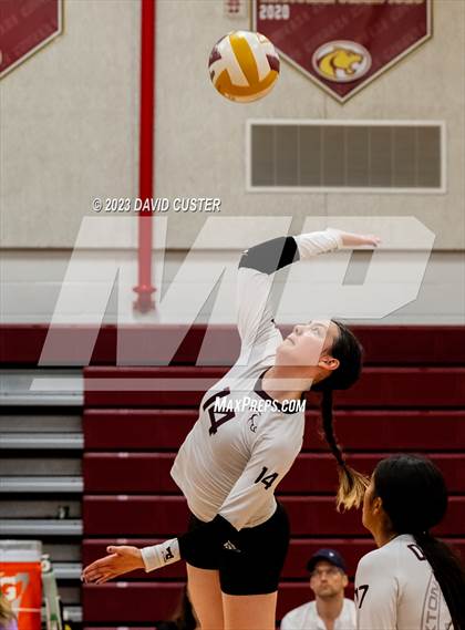 Thumbnail 3 in Westfield @ Oakton photogallery.