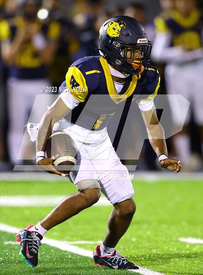 Thumbnail 1 in Serra vs. Warren photogallery.