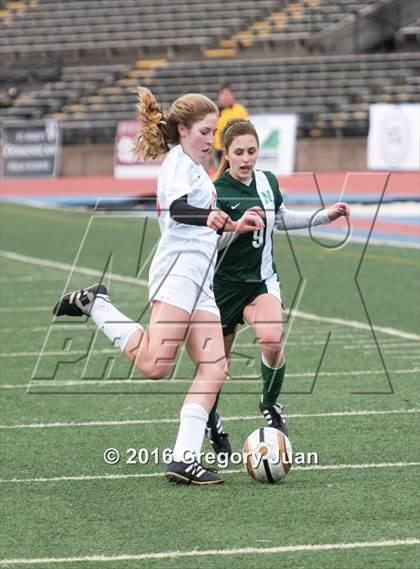 Thumbnail 2 in Newman @ McGehee photogallery.