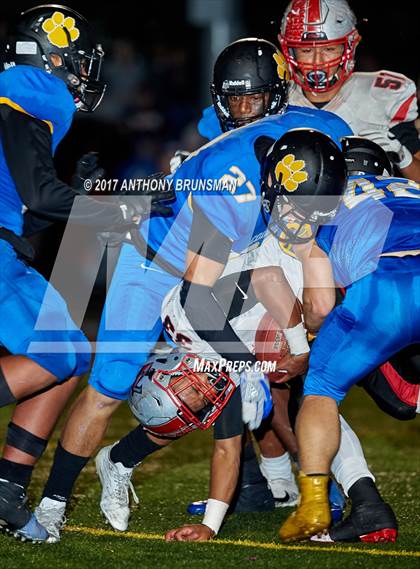 Thumbnail 3 in Antelope @ Del Campo photogallery.