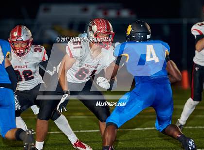 Thumbnail 1 in Antelope @ Del Campo photogallery.