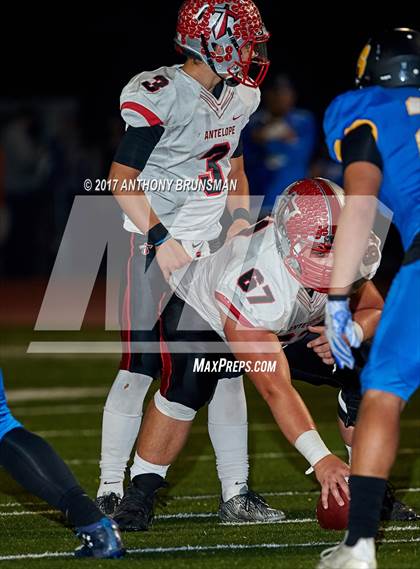 Thumbnail 2 in Antelope @ Del Campo photogallery.