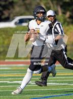 Photo from the gallery "Novato @ Irvington"