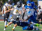 Photo from the gallery "Novato @ Irvington"