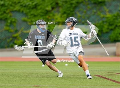 Thumbnail 2 in Cohasset vs. Dover-Sherborn (MIAA Division 3 State Final) photogallery.