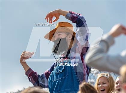 Thumbnail 2 in Cedar Grove @ Verona photogallery.