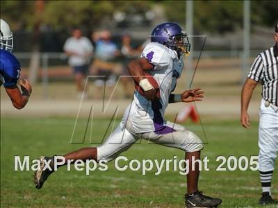 null - Photo 41