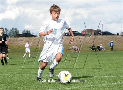 Thumbnail 3 in Palmer @ Vista Ridge photogallery.