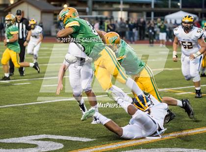 Thumbnail 1 in Bellevue @ Tumwater photogallery.