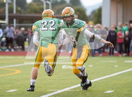 Thumbnail 3 in Bellevue @ Tumwater photogallery.
