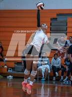 Photo from the gallery "Waialua @ Campbell"