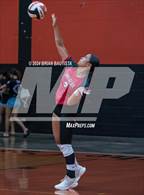 Photo from the gallery "Waialua @ Campbell"