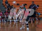 Photo from the gallery "Waialua @ Campbell"