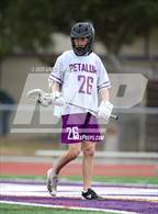 Photo from the gallery "Stevenson @ Petaluma"