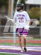 Photo from the gallery "Stevenson @ Petaluma"