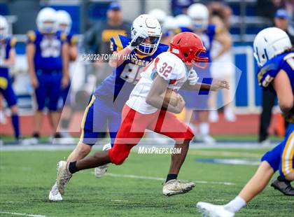 Thumbnail 1 in Hirschi @ Brock photogallery.