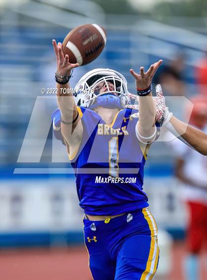 Thumbnail 2 in Hirschi @ Brock photogallery.