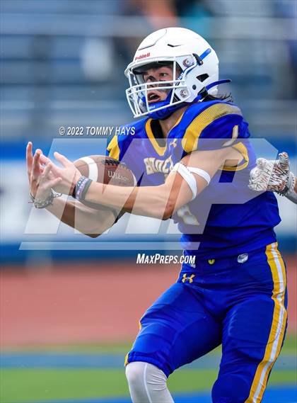 Thumbnail 1 in Hirschi @ Brock photogallery.