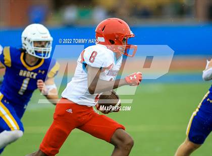 Thumbnail 2 in Hirschi @ Brock photogallery.