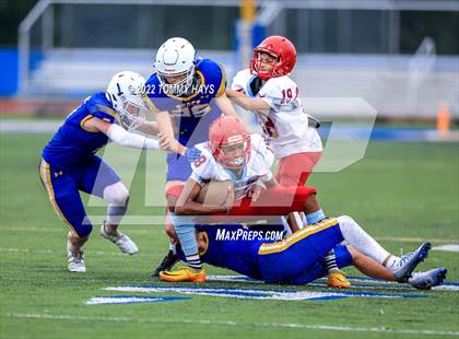 Thumbnail 2 in Hirschi @ Brock photogallery.