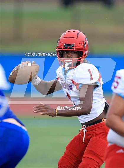 Thumbnail 2 in Hirschi @ Brock photogallery.