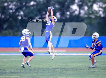 Thumbnail 3 in Hirschi @ Brock photogallery.