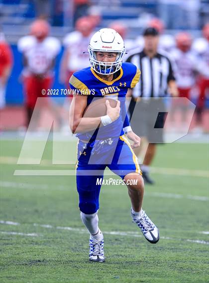 Thumbnail 1 in Hirschi @ Brock photogallery.