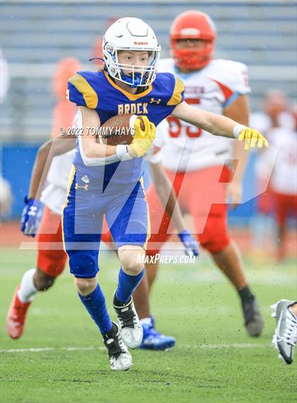 Thumbnail 1 in Hirschi @ Brock photogallery.