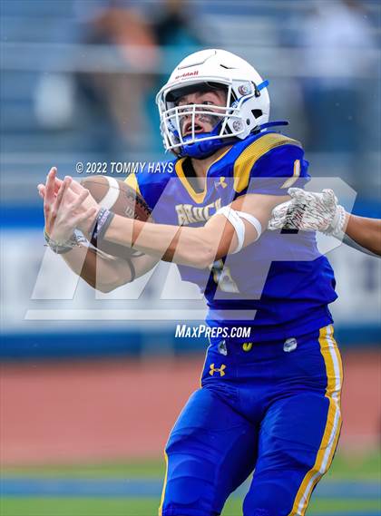 Thumbnail 3 in Hirschi @ Brock photogallery.