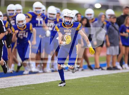Thumbnail 1 in Hirschi @ Brock photogallery.
