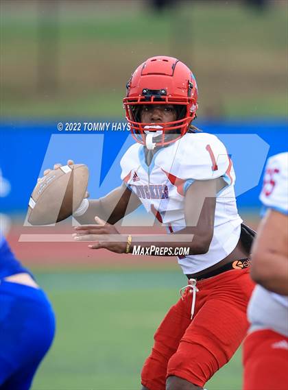Thumbnail 1 in Hirschi @ Brock photogallery.