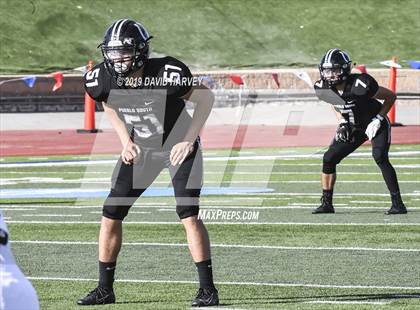 Thumbnail 3 in Pueblo South vs. Palmer Ridge (CHSAA 3A Final) photogallery.