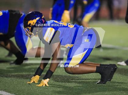 Thumbnail 1 in Burroughs vs Muir photogallery.