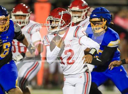 Thumbnail 1 in Burroughs vs Muir photogallery.