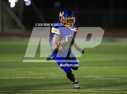 Thumbnail 1 in Burroughs vs Muir photogallery.