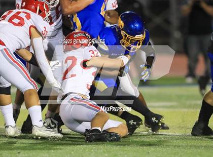 Thumbnail 2 in Burroughs vs Muir photogallery.