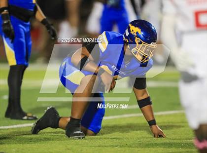 Thumbnail 1 in Burroughs vs Muir photogallery.