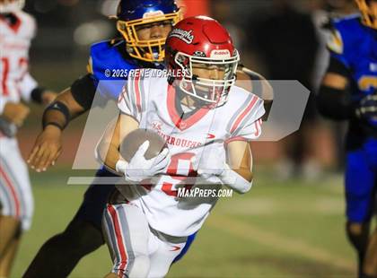 Thumbnail 1 in Burroughs vs Muir photogallery.