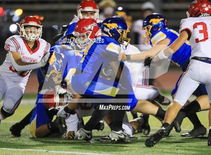 Thumbnail 1 in Burroughs vs Muir photogallery.