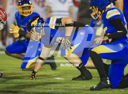 Thumbnail 1 in Burroughs vs Muir photogallery.