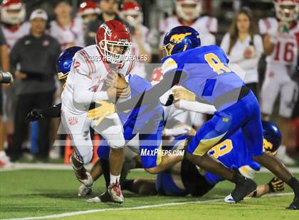 Thumbnail 1 in Burroughs vs Muir photogallery.