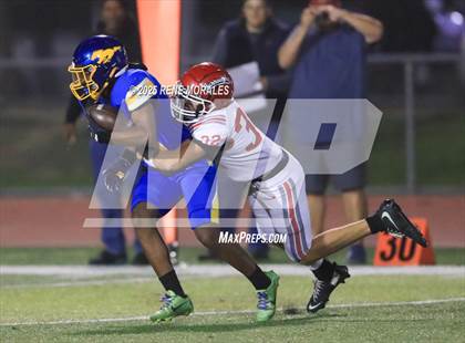 Thumbnail 1 in Burroughs vs Muir photogallery.