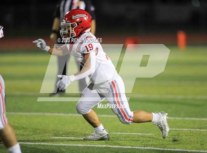 Thumbnail 1 in Burroughs vs Muir photogallery.