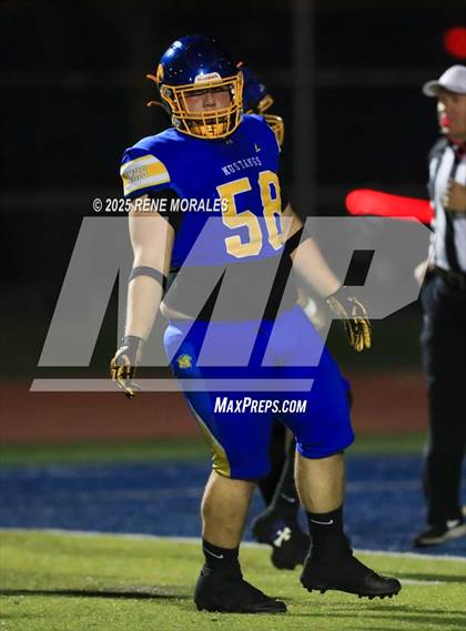 Thumbnail 1 in Burroughs vs Muir photogallery.