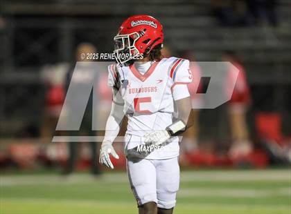 Thumbnail 1 in Burroughs vs Muir photogallery.