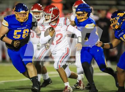 Thumbnail 2 in Burroughs vs Muir photogallery.