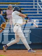 Photo from the gallery "Lipscomb Academy @ Pope John Paul II"