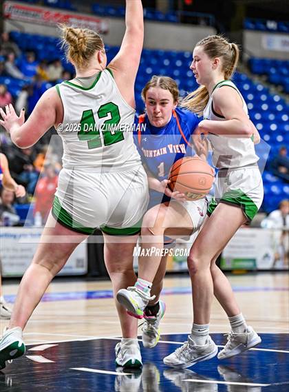 Thumbnail 3 in Mountain View vs Elk Lake (PIAA District 2 Class 2A Final) photogallery.